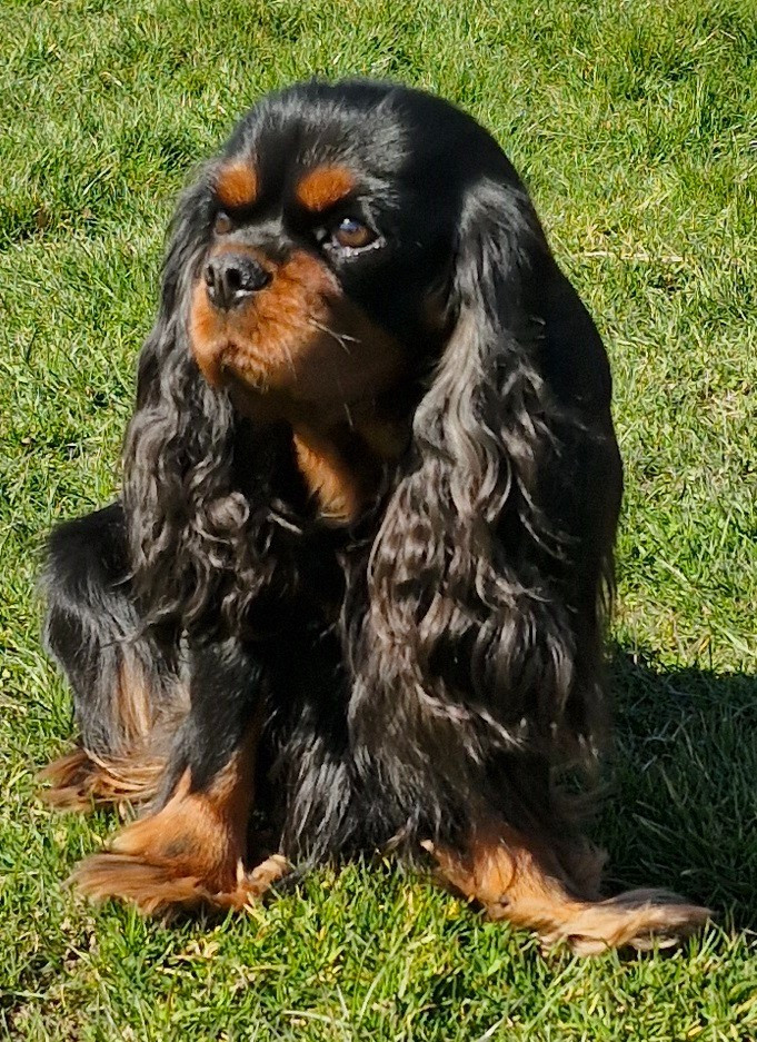 Rubie  Des p'tits Bizoulous